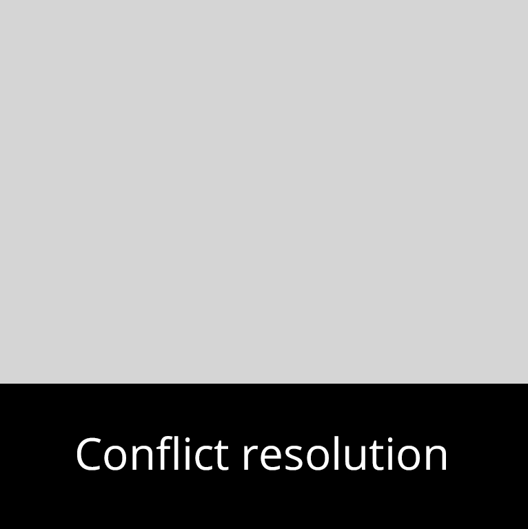CPD Conflict Resolution