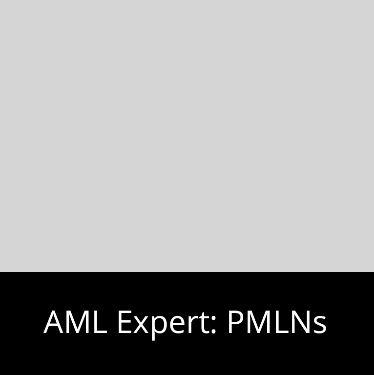 AML Expert PMLNs