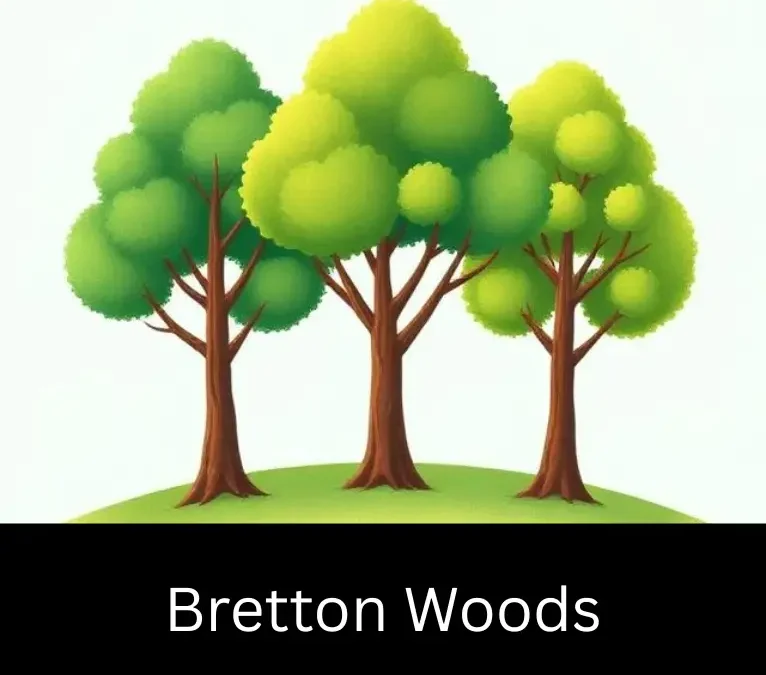 Bretton Woods CPD module – Global Financial Architecture – Easy Institute