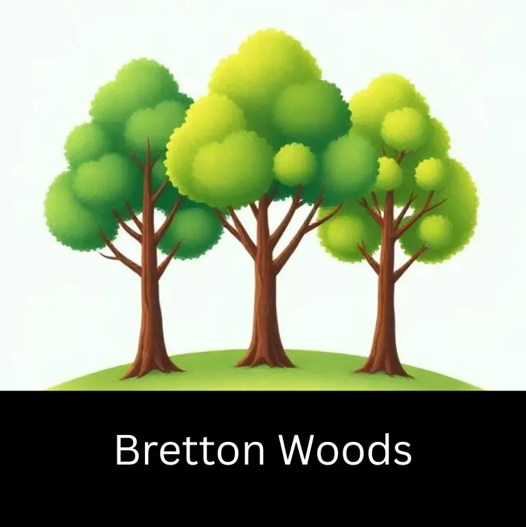 Bretton Woods CPD module – Global Financial Architecture – Easy Institute